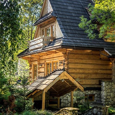Villa Dom Crocus à Zakopane Extérieur photo